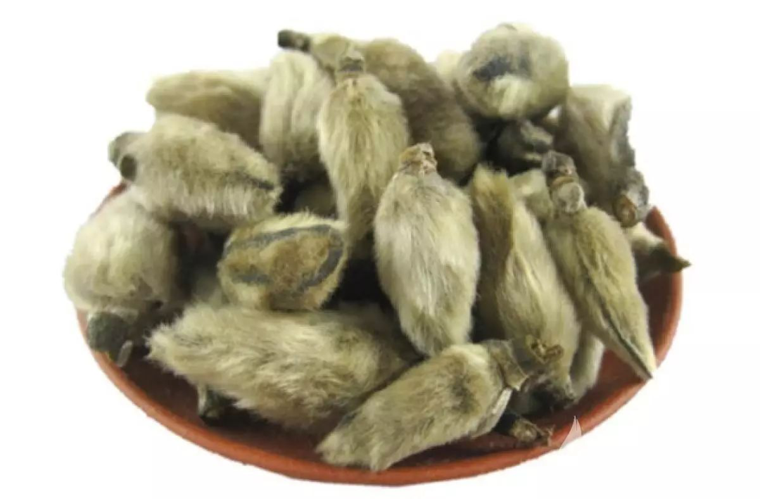 6373325887458448275731295.png 6373325887458448275731295.png