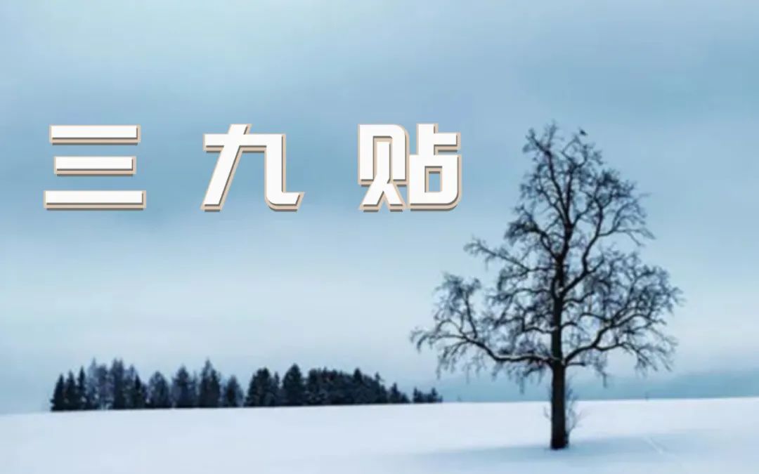 微信圖片_20211213100444.jpg 微信圖片_20211213100444.jpg