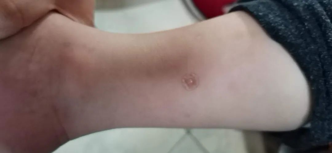 6373273906599469087136750.jpg 6373273906599469087136750.jpg