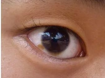 微信圖片_20220129093458.jpg 微信圖片_20220129093458.jpg