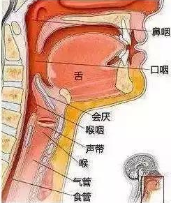 微信圖片_20210608130116.png 微信圖片_20210608130116.png