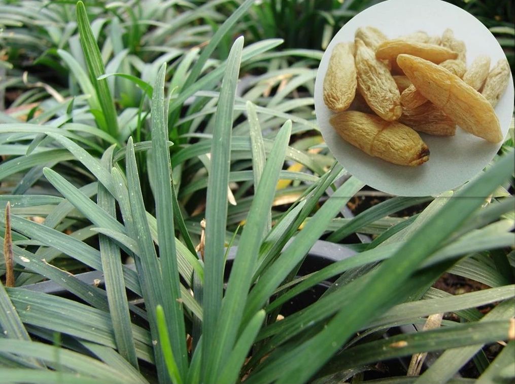 6373420406130577471540182.jpg 6373420406130577471540182.jpg