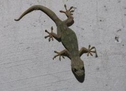 圖片5.jpg 圖片5.jpg