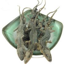 圖片6.jpg 圖片6.jpg