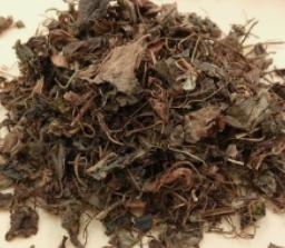 圖片8.jpg 圖片8.jpg