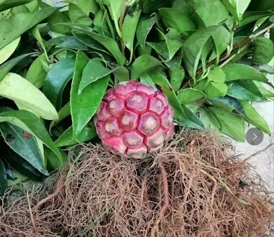 圖片9.jpg 圖片9.jpg