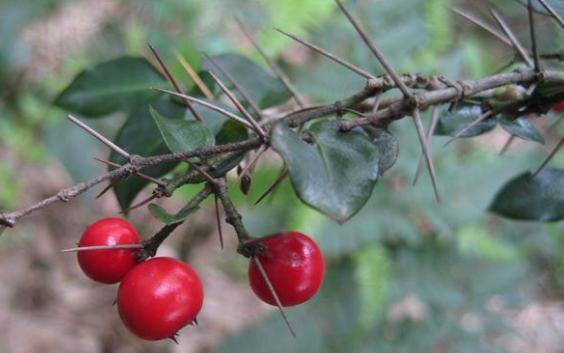 圖片11.jpg 圖片11.jpg