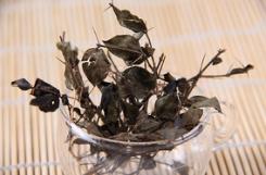 圖片12.jpg 圖片12.jpg