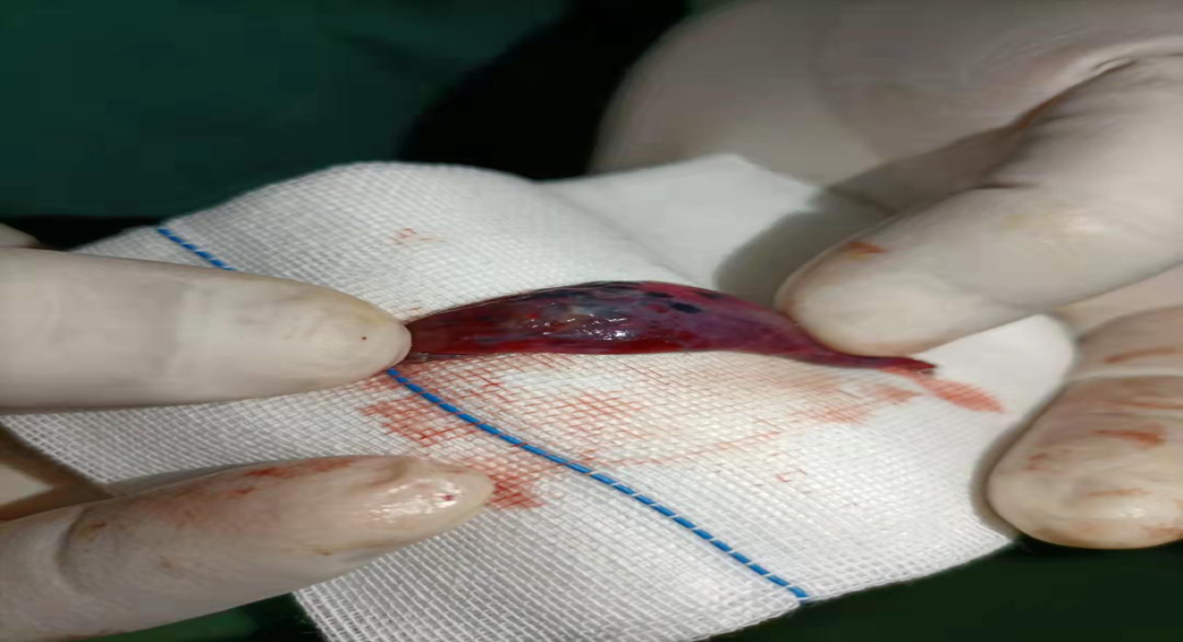 6376732004257162507512323.png 6376732004257162507512323.png