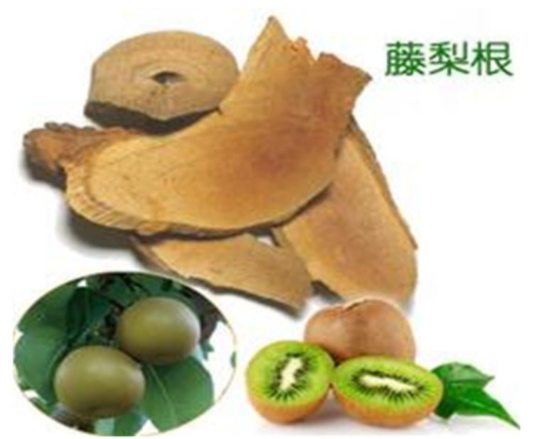 微信圖片_20210924103357.png 微信圖片_20210924103357.png