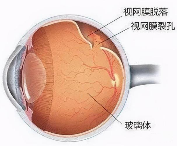 微信圖片_20220221085432.png 微信圖片_20220221085432.png