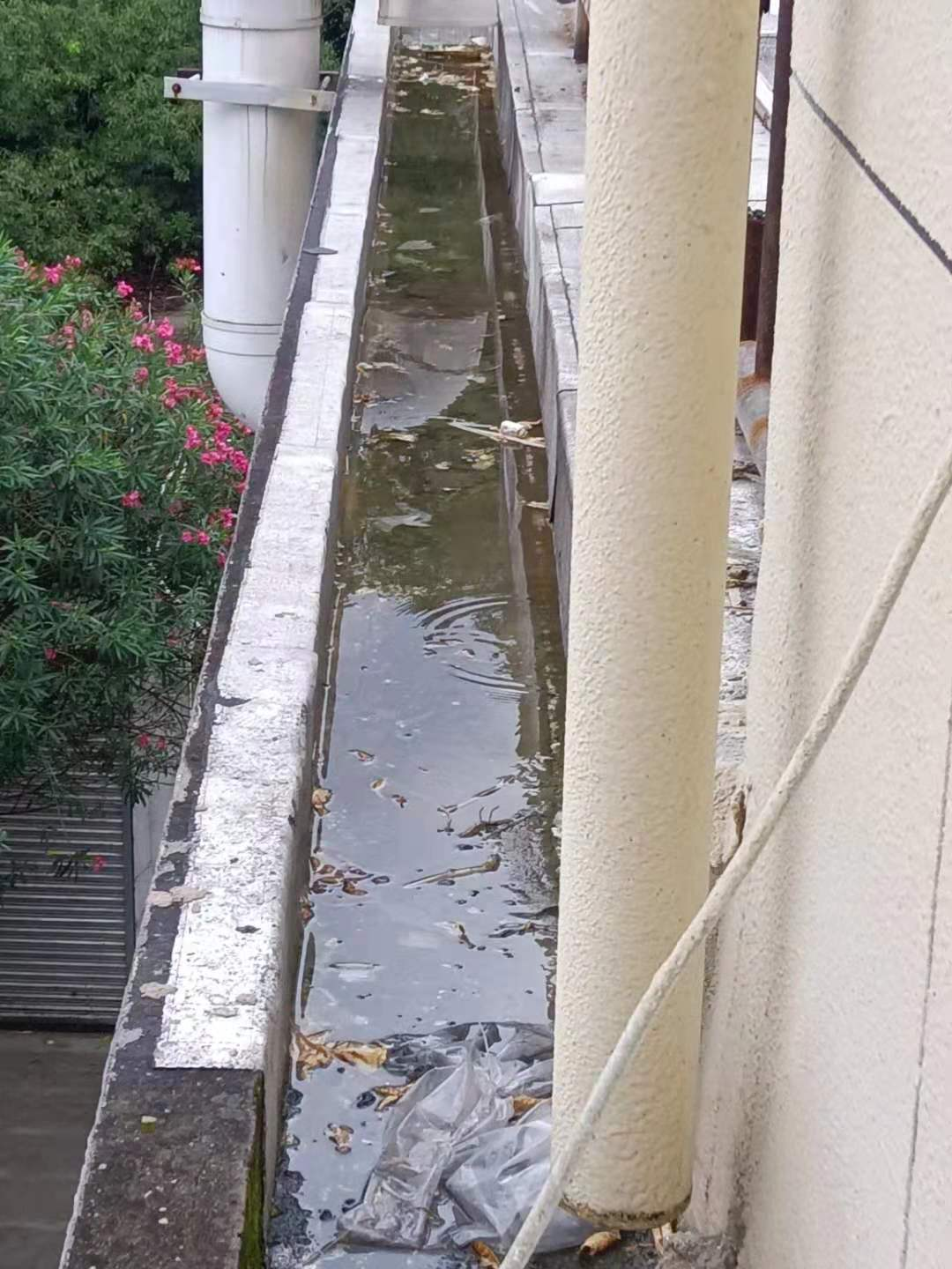 圖片2.png 圖片2.png