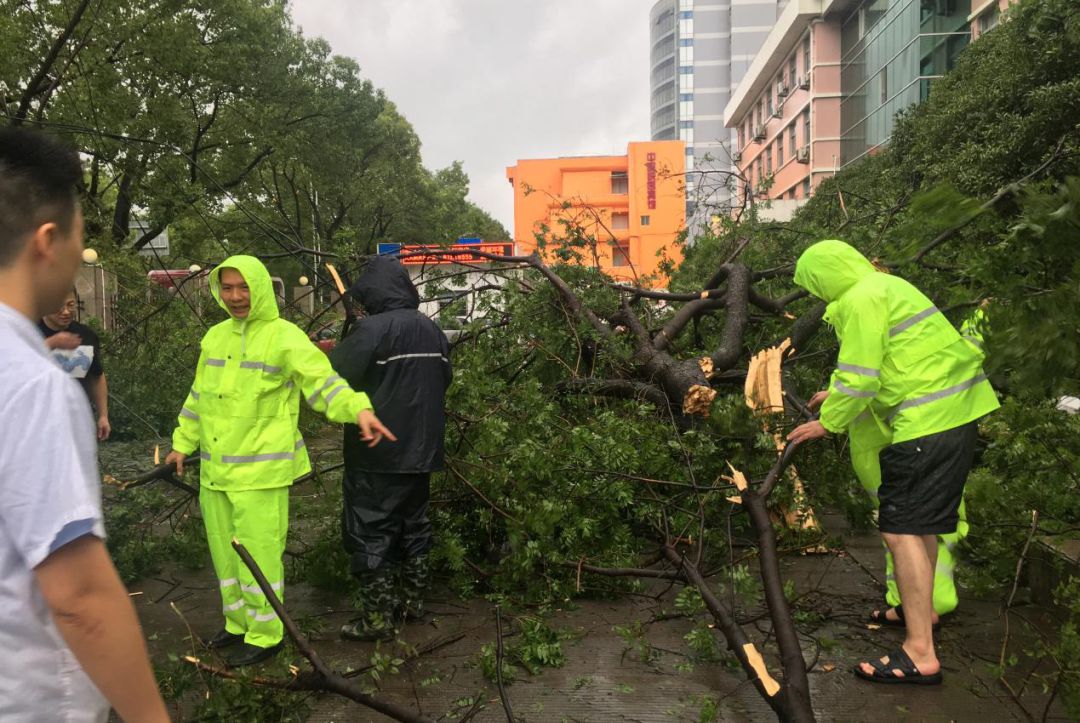 6373394653858139365607866.jpg 6373394653858139365607866.jpg