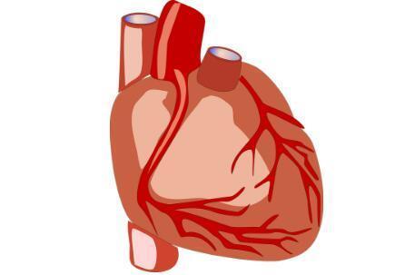 u=889892789,2166816819&fm=173&app=25&f=JPEG.jpg u=889892789,2166816819&fm=173&app=25&f=JPEG.jpg