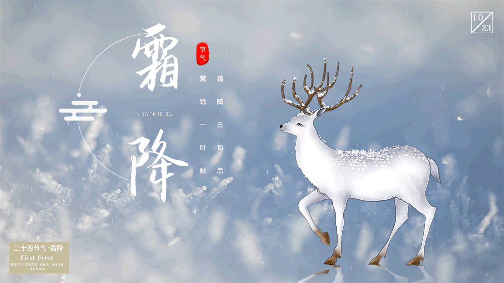 640 (1).gif 640 (1).gif