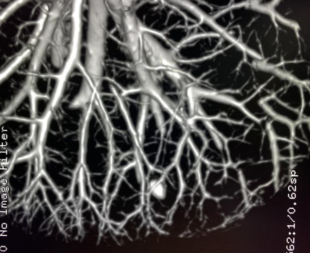 圖片144.jpg 圖片144.jpg