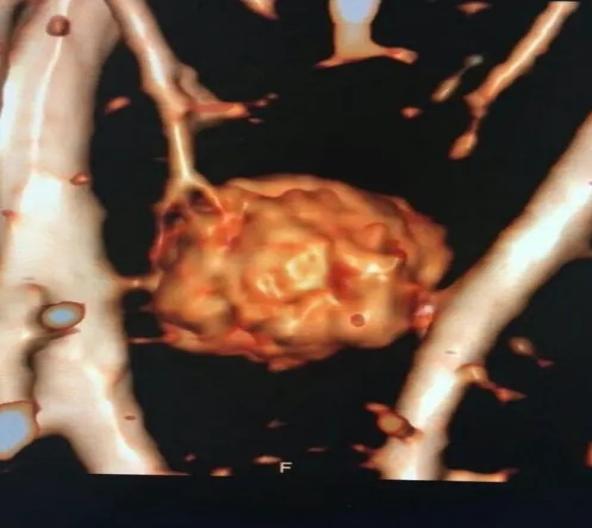 圖片55.jpg 圖片55.jpg