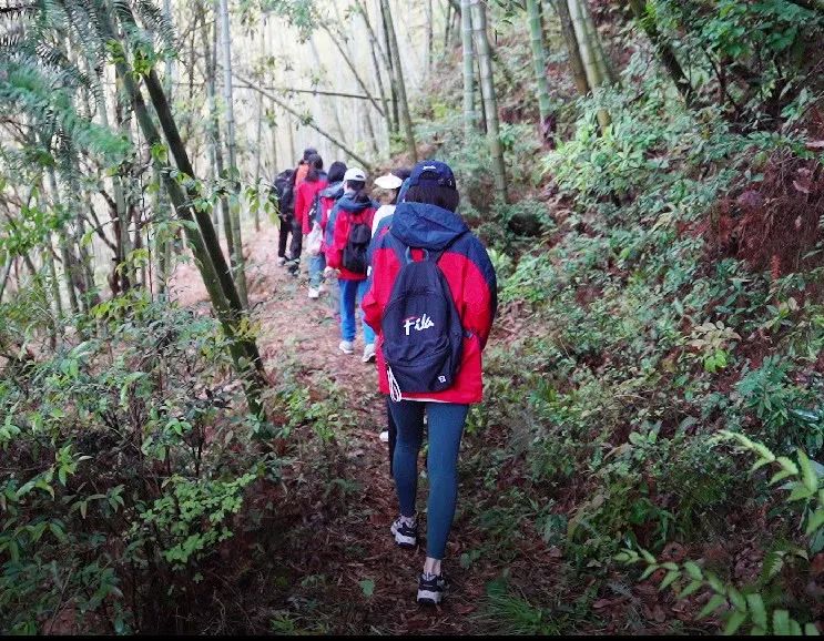 微信圖片_20220429113346.jpg 微信圖片_20220429113346.jpg