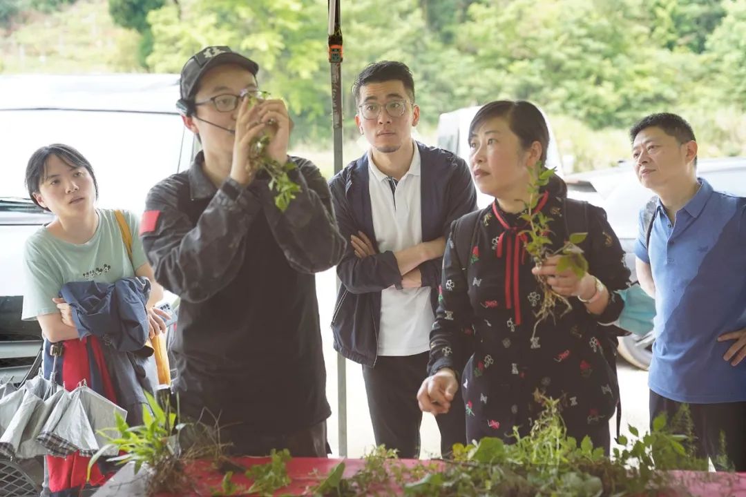 微信圖片_20220429113453.jpg 微信圖片_20220429113453.jpg