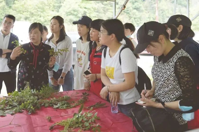 微信圖片_20220429113500.jpg 微信圖片_20220429113500.jpg