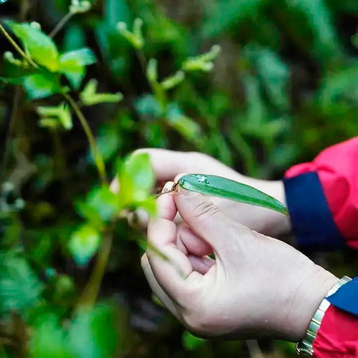 微信圖片_20220429113551.jpg 微信圖片_20220429113551.jpg