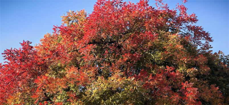 圖片 13.png 圖片 13.png