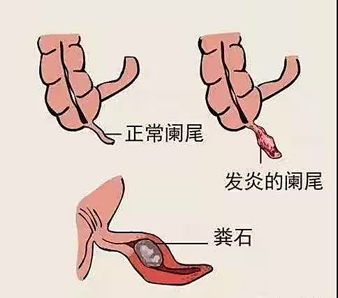 微信圖片_20220628122623.png 微信圖片_20220628122623.png