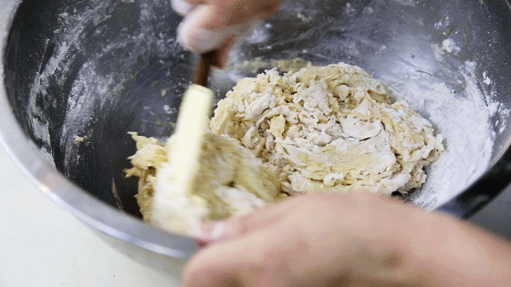 6373404783817866569084583.gif 6373404783817866569084583.gif