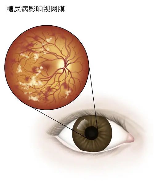 微信圖片_20220214104549.jpg 微信圖片_20220214104549.jpg