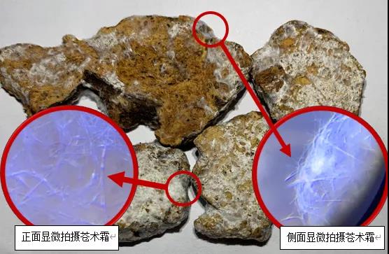 圖片5.jpg 圖片5.jpg