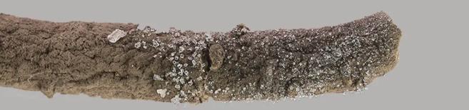 圖片8.jpg 圖片8.jpg