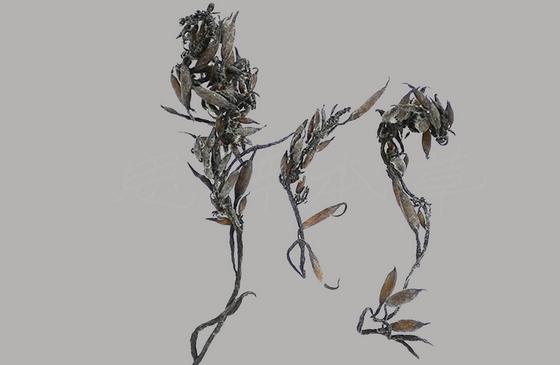 圖片9.jpg 圖片9.jpg