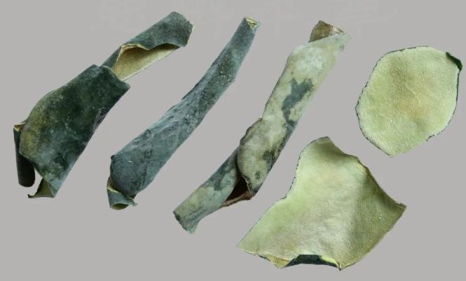 圖片10.jpg 圖片10.jpg