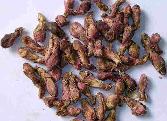 圖片12.jpg 圖片12.jpg