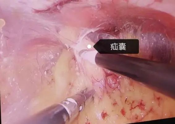 微信圖片_20220429142109.jpg 微信圖片_20220429142109.jpg