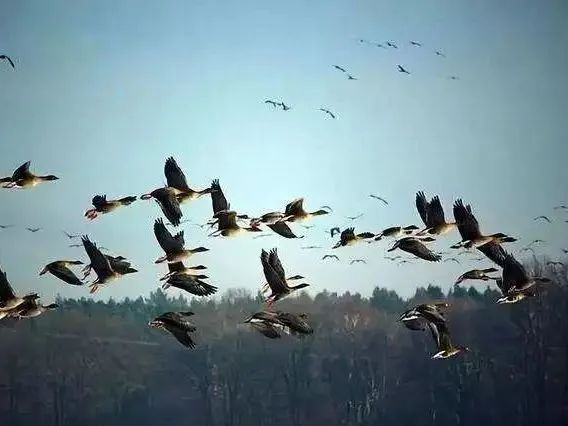 微信圖片_20220908110456.jpg 微信圖片_20220908110456.jpg