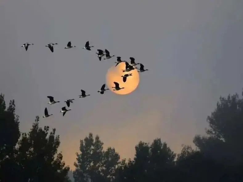 微信圖片_20220908110458.jpg 微信圖片_20220908110458.jpg