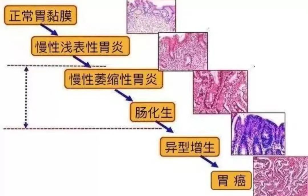 微信圖片_20220609082544.jpg 微信圖片_20220609082544.jpg