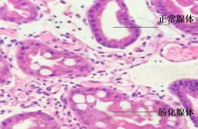 微信圖片_20220609082547.jpg 微信圖片_20220609082547.jpg