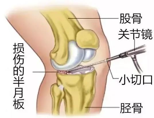 6377454874896737507104098.jpg 6377454874896737507104098.jpg