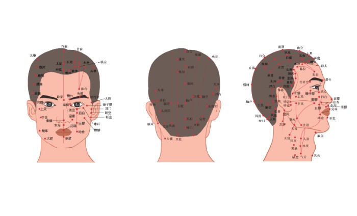 攝圖網(wǎng)_401802088_人體頭部經(jīng)絡(luò)穴位圖(非企業(yè)商用).jpg 攝圖網(wǎng)_401802088_人體頭部經(jīng)絡(luò)穴位圖(非企業(yè)商用).jpg